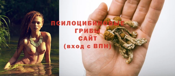 метамфетамин Аркадак
